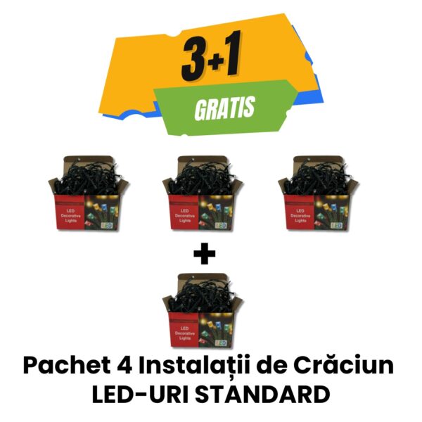4-Instalatii-de-Craciun-LED-URI-STANDARD-1
